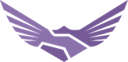 ​Finsight Group Inc.